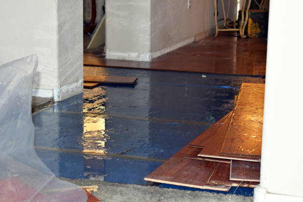 Professional Burst Pipe Cleanup technician working in Brainard, NY